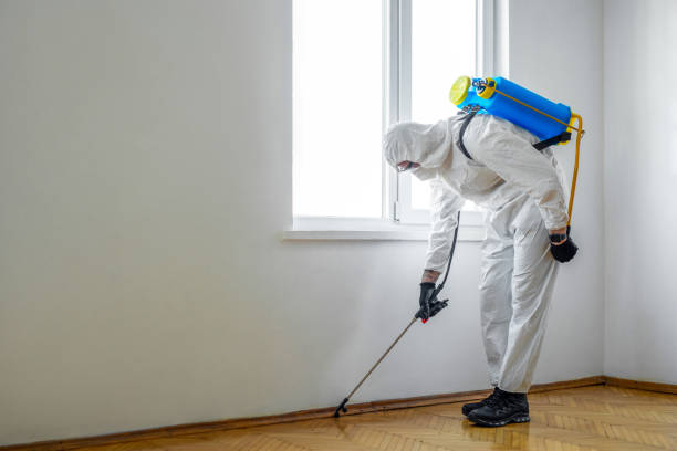 Professional Pest Control in Larkfield Wikiup, CA